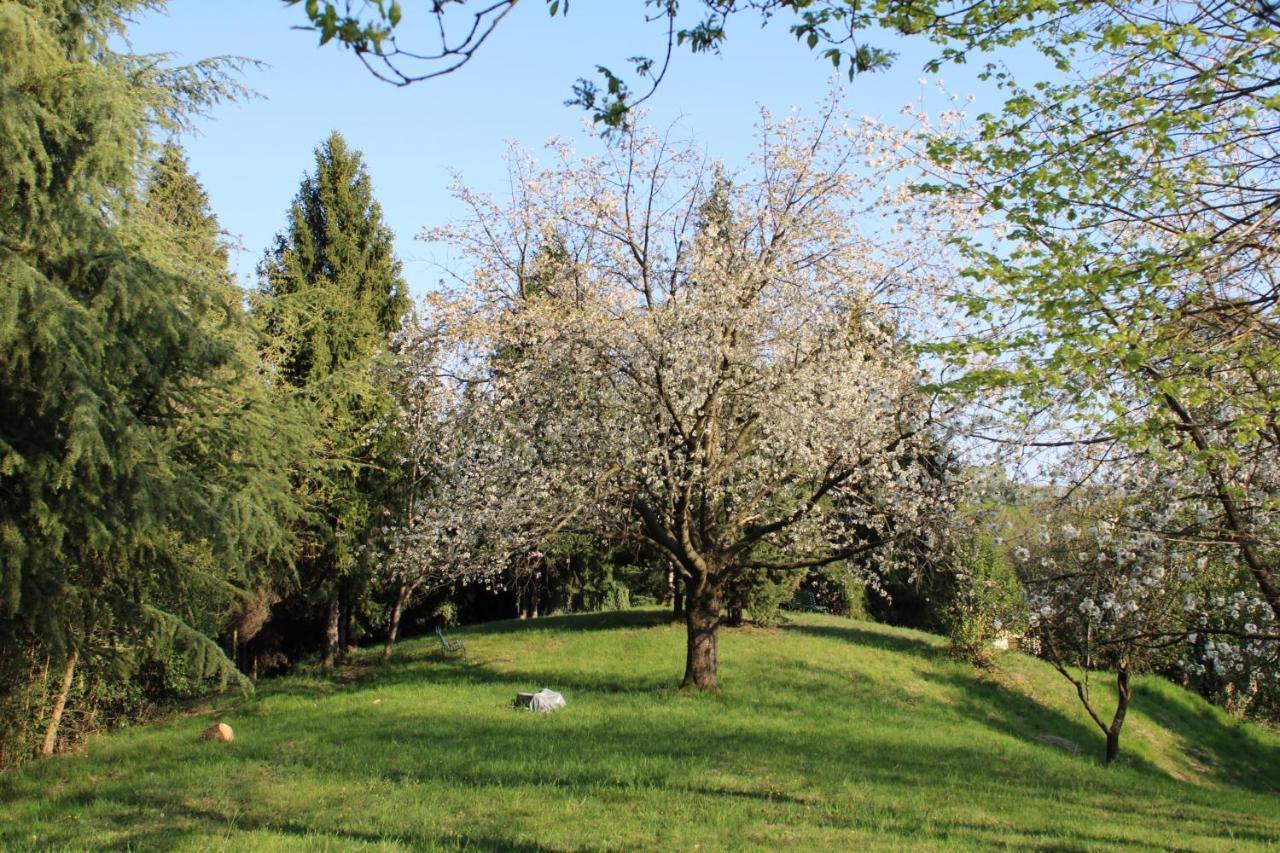 أسولو Villa Flangini المظهر الخارجي الصورة